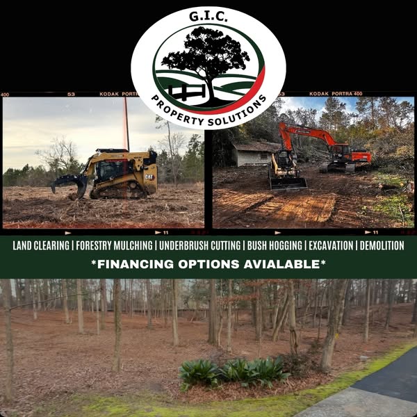 Fresh forestry