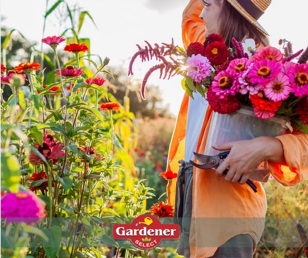 Shop for garden supplies