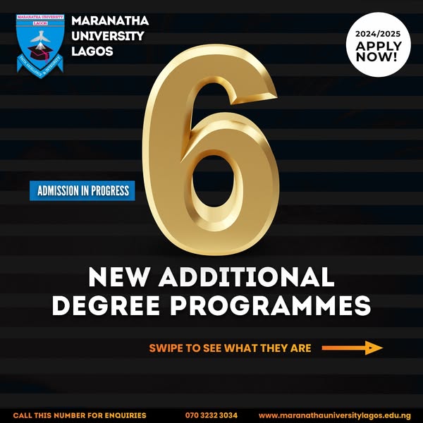 undergraduate