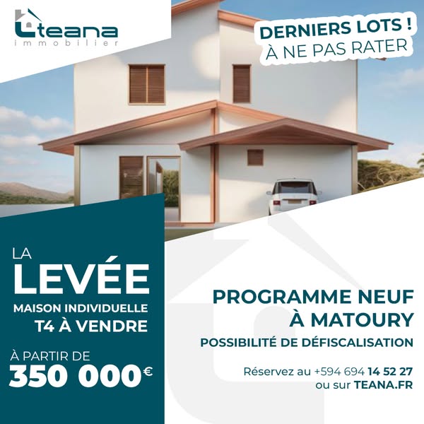 levee