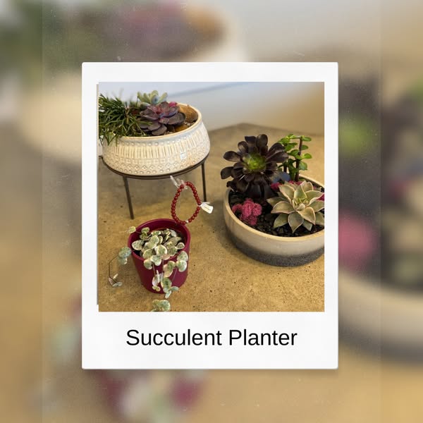 Spectacular gardening