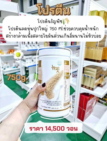 Vegan Protein Powder