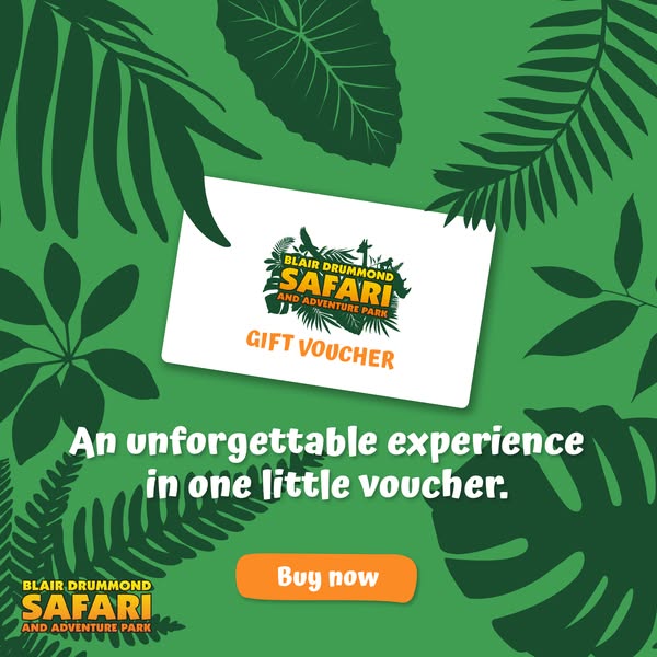 Memorable voucher