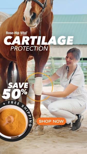 Shop for Brand Protection