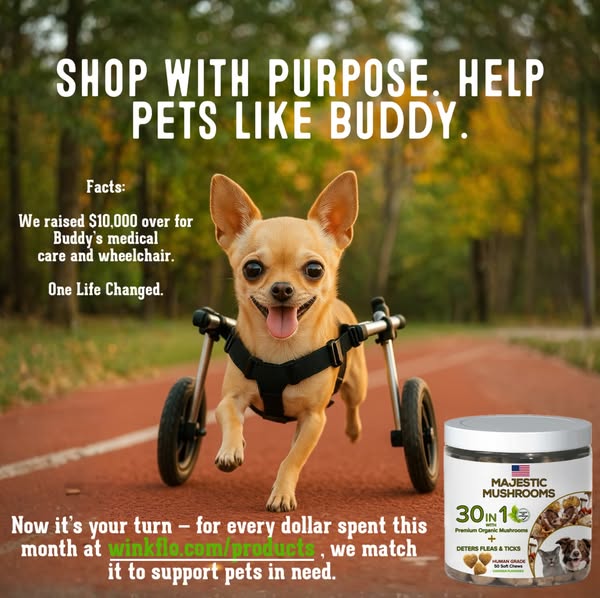 Shop for pet care products