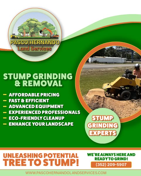 Affordable stump