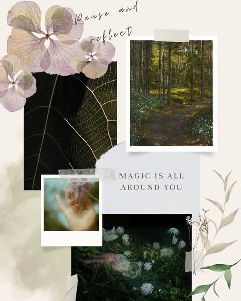 Shop for fine art prints