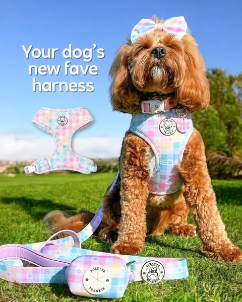 Shop for Travel Accessories