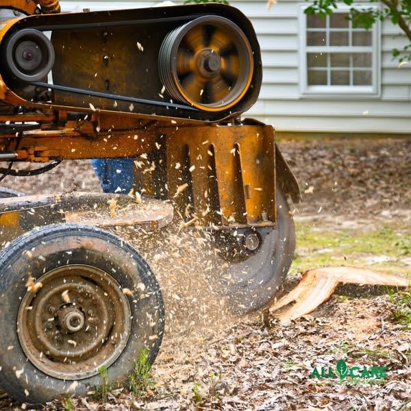 Affordable stump