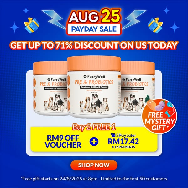 Shop for Buy Now Pay Later