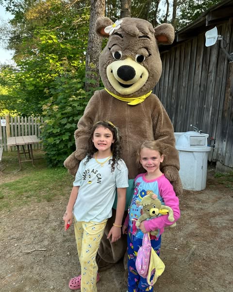 Bear