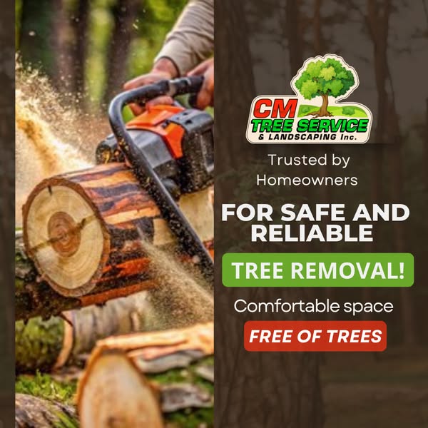 Safe professionally