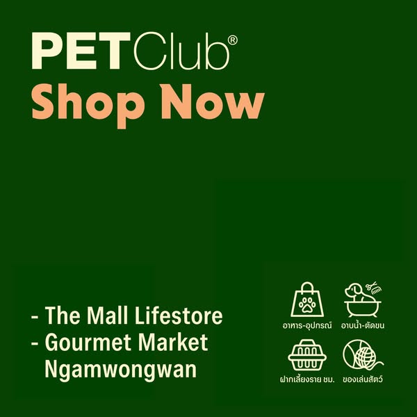 Shop for Wellness