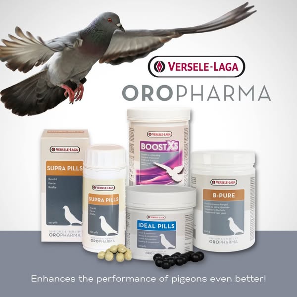 Shop for health supplements