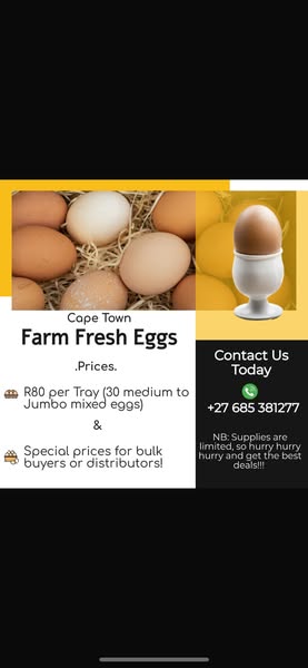Jumbo Eggs