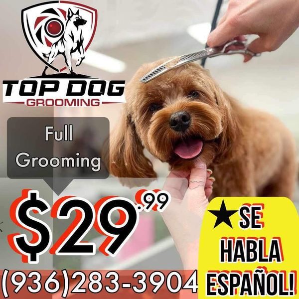 Pet Shampoo and Conditioner