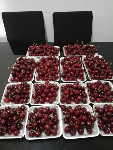 Muscat Grapes
