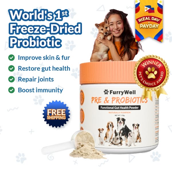 freeze