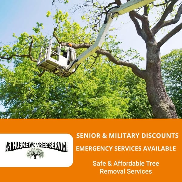 Affordable over