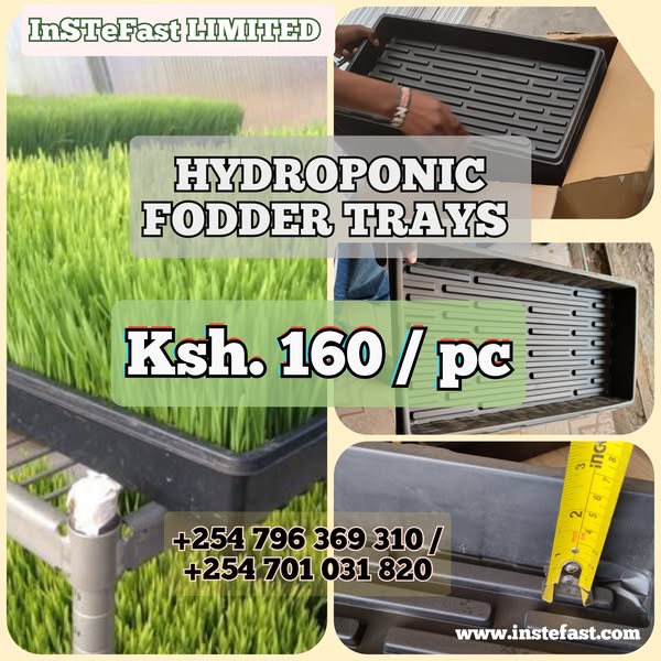 Shop for Dryers