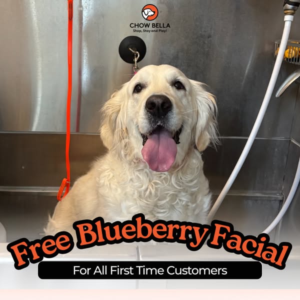 Shop for pet care products