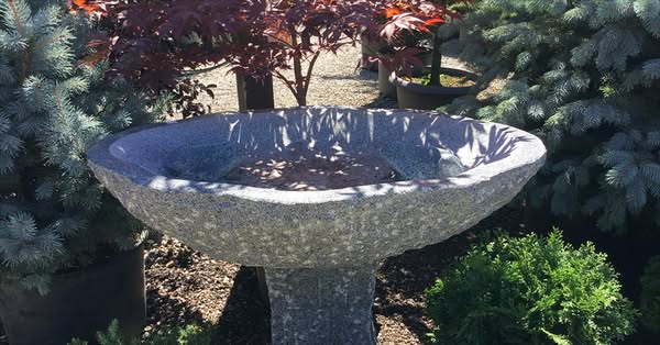 Outdoor Oasis