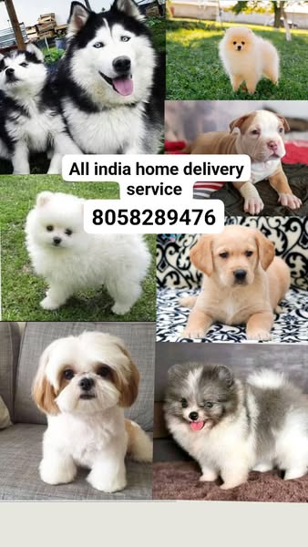 Shop for Home