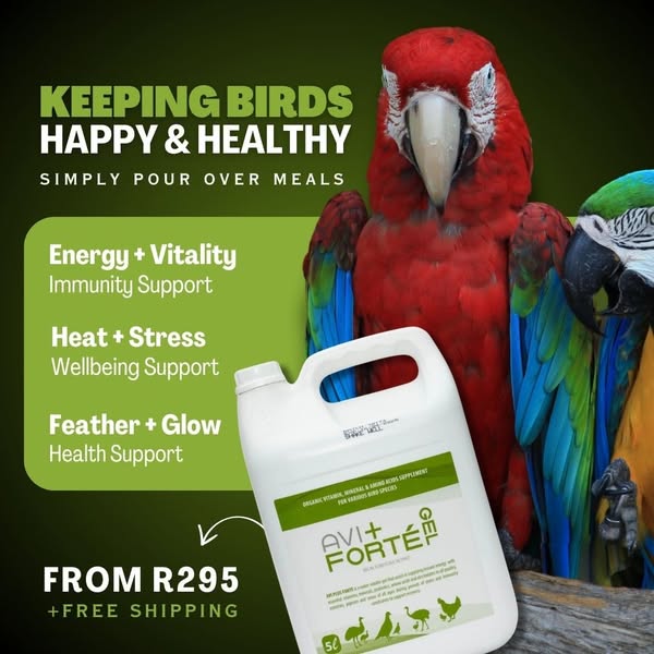 Shop for health supplements