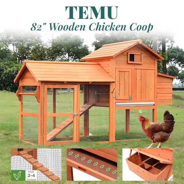 Shop for pet supplies