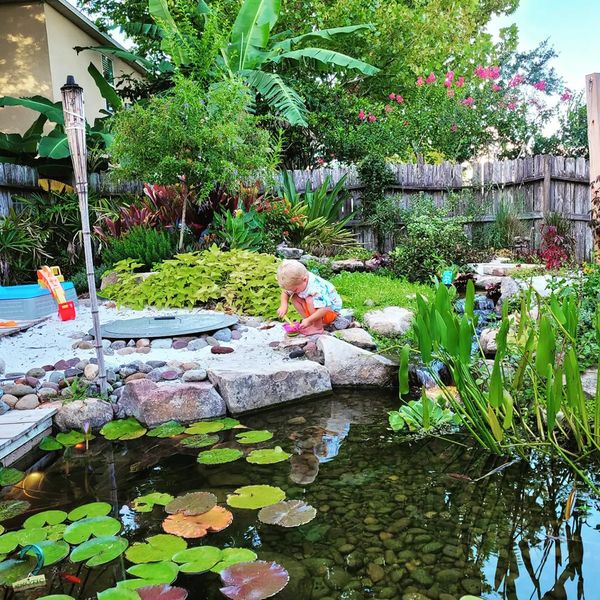 Fire Pit Oasis