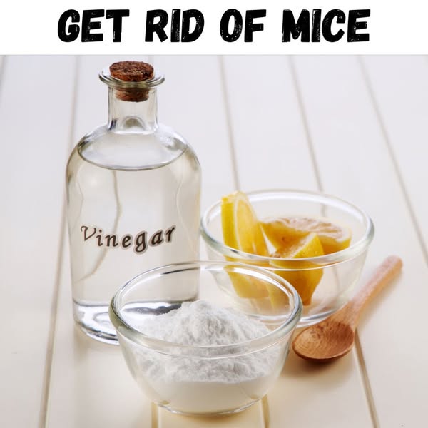 Safe vinegar