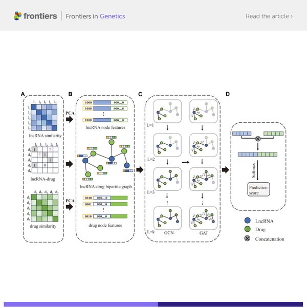 Advanced RNA