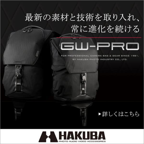 Professional Camera Bag