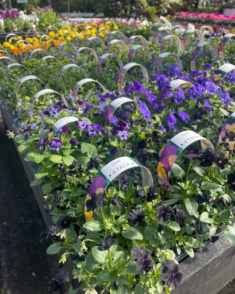 Shop for garden supplies