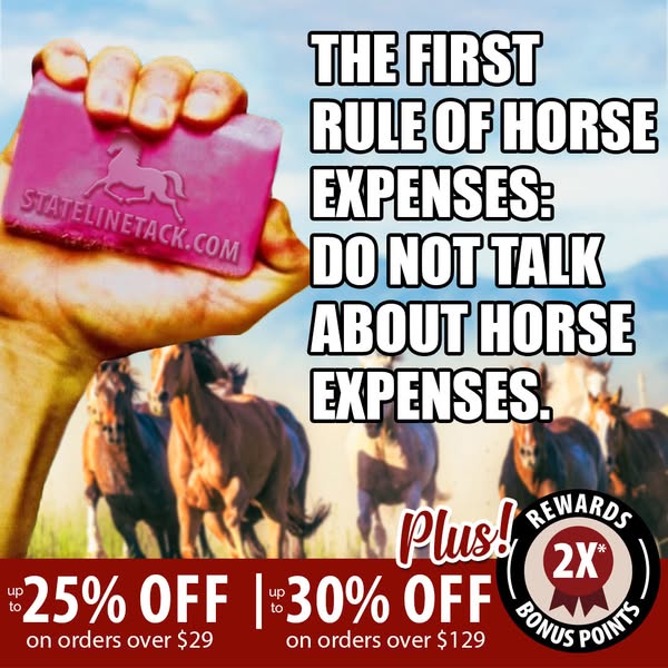 Shop for Horse Tack