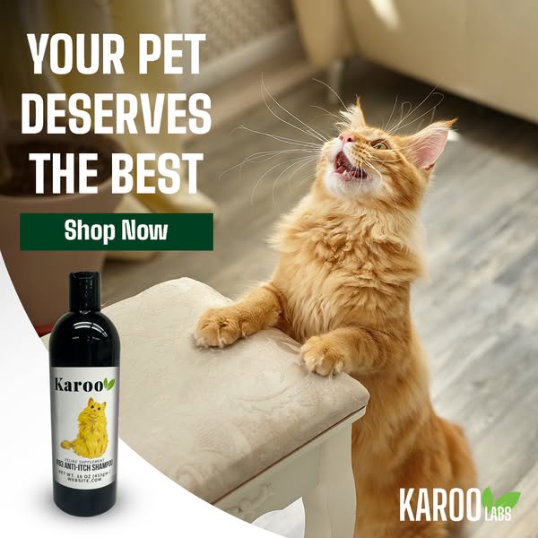 Shop for pet care products