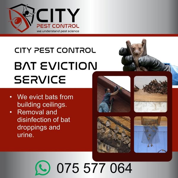evict