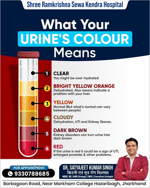 Bright kidney