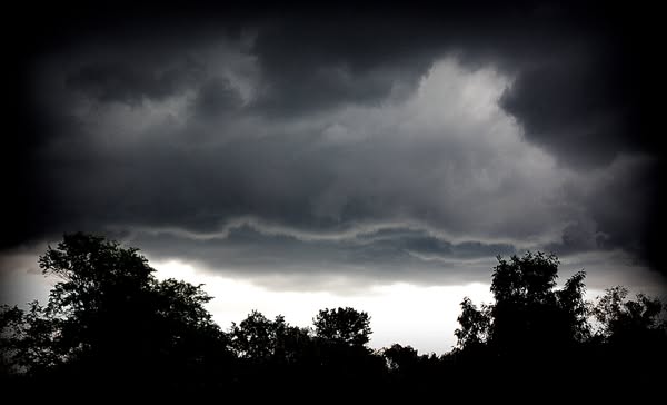meteorologist