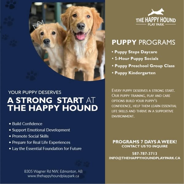 Valuable intentional