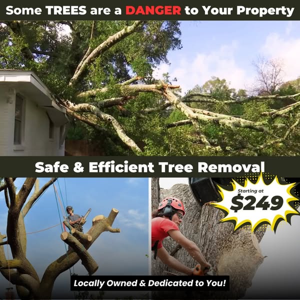 Efficient at