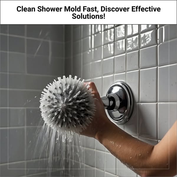 Effective speedy