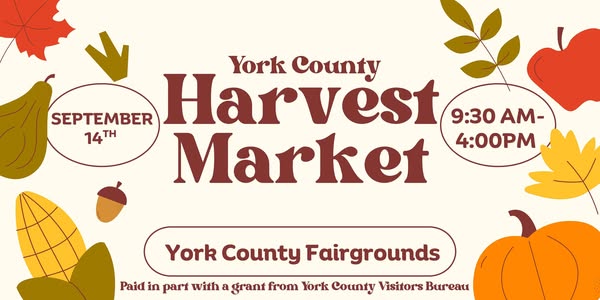 Shop for local businesses