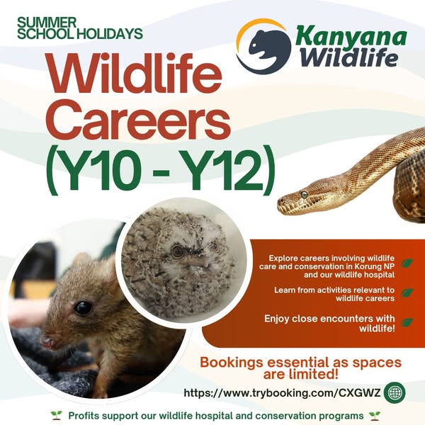 Exciting conservation
