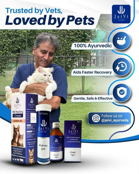 Shop for health supplements