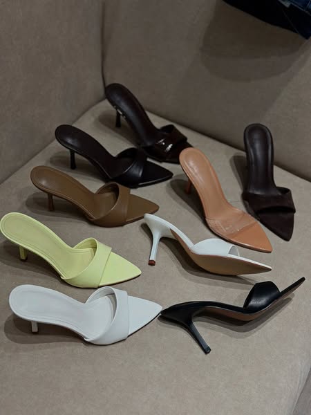 New Arrivals