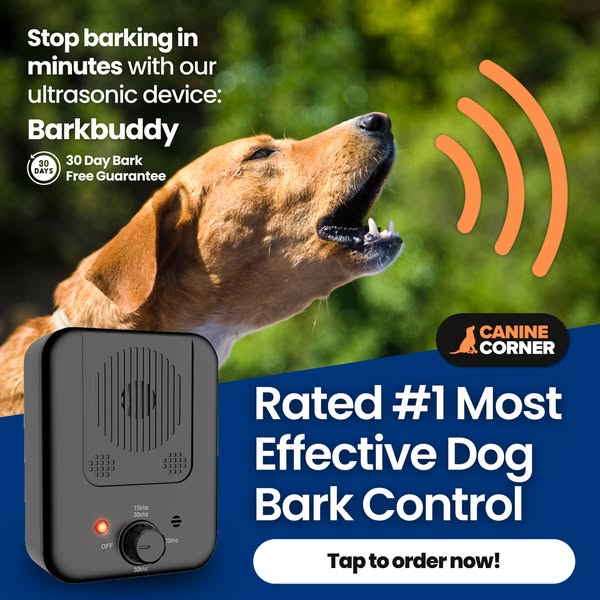 Shop for Pet Owners