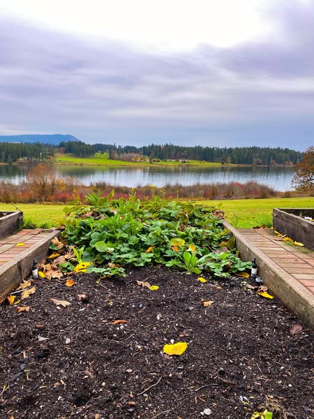 Exceptional landscaping