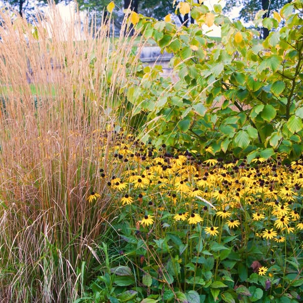 Shop Garden