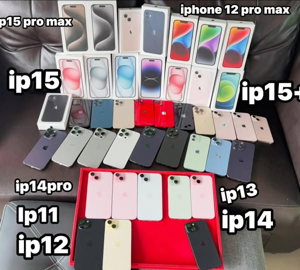 Apple Watch Series 8